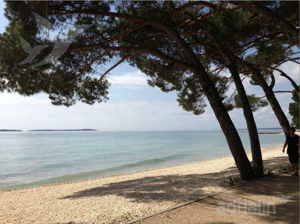 Apartmani Petunia Fažana Buitenkant foto